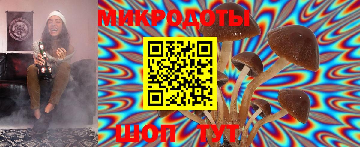где найти   Галлюциногенные грибы ЛСД  Вход с VPN  Котельники 